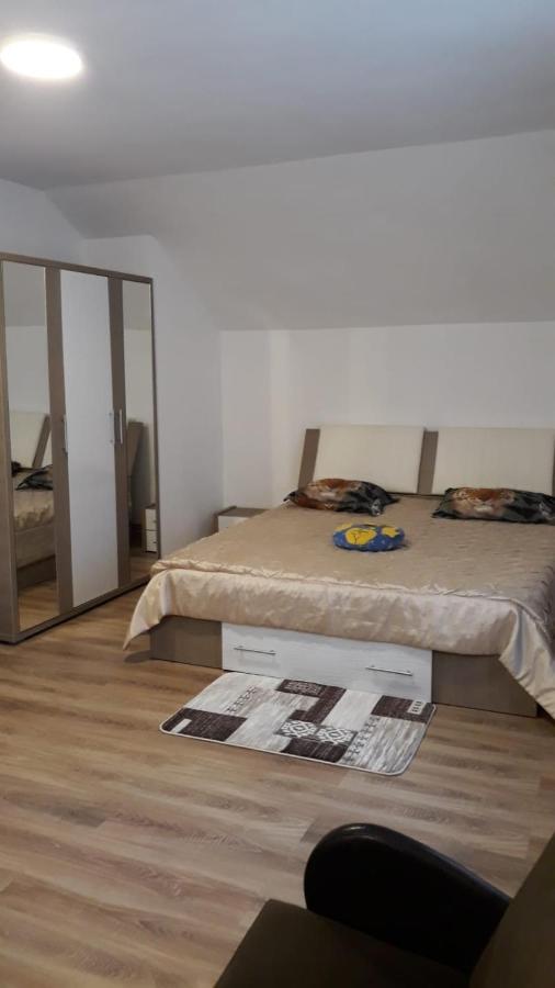 Casa Mariana - Comuna Arefu, Transfagarasan Capatineni-Ungureni Экстерьер фото