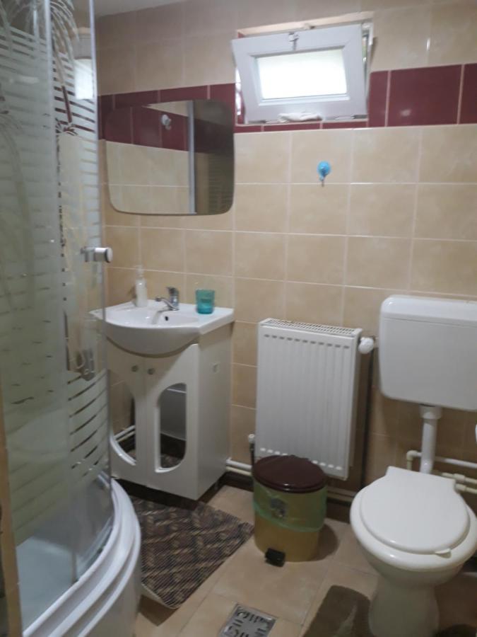 Casa Mariana - Comuna Arefu, Transfagarasan Capatineni-Ungureni Экстерьер фото