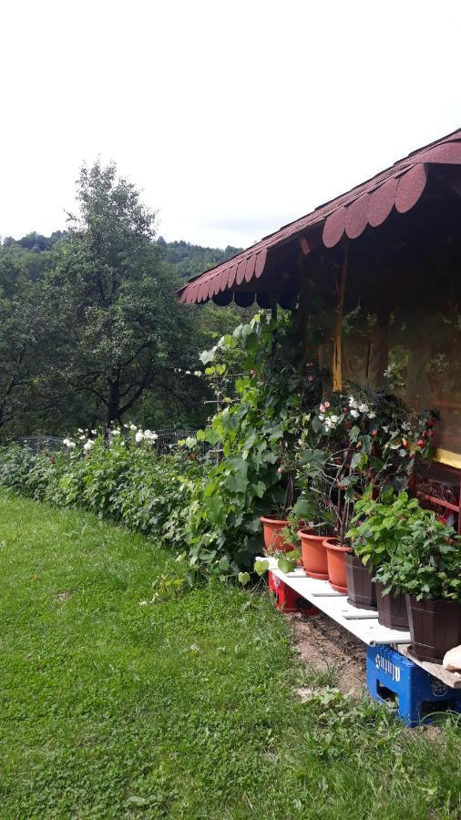Casa Mariana - Comuna Arefu, Transfagarasan Capatineni-Ungureni Экстерьер фото