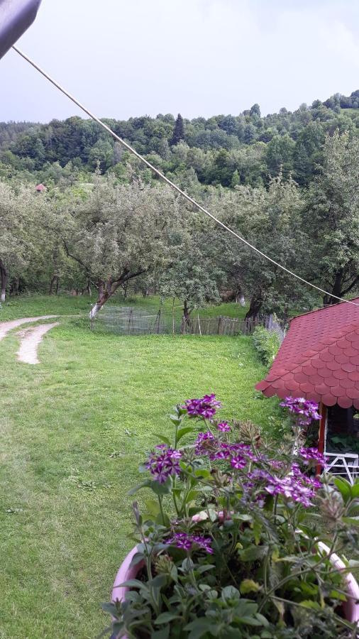 Casa Mariana - Comuna Arefu, Transfagarasan Capatineni-Ungureni Экстерьер фото