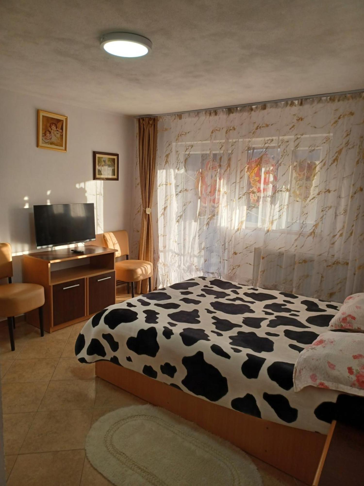 Casa Mariana - Comuna Arefu, Transfagarasan Capatineni-Ungureni Экстерьер фото