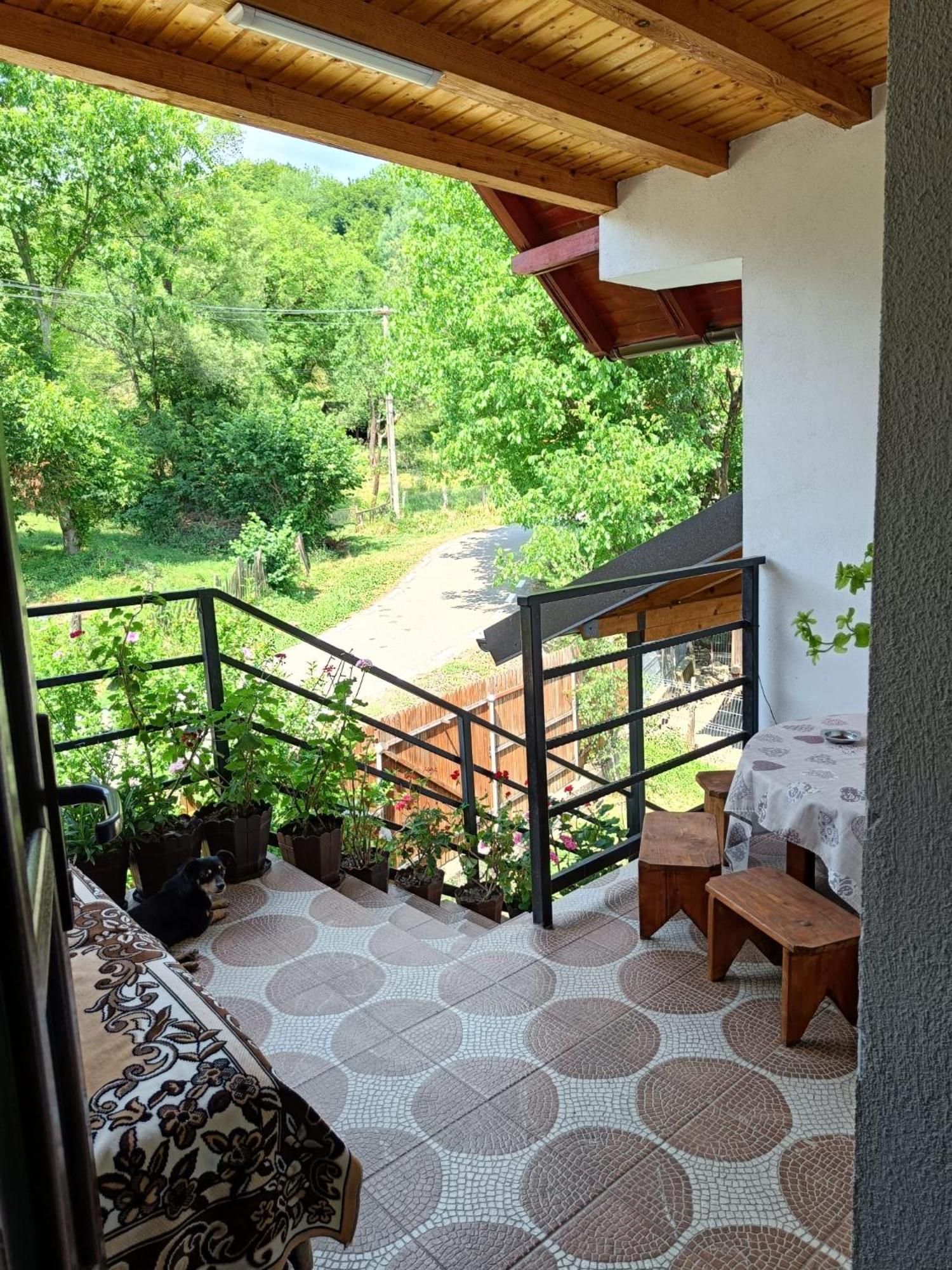 Casa Mariana - Comuna Arefu, Transfagarasan Capatineni-Ungureni Экстерьер фото